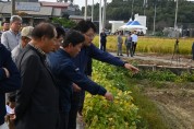 정황근 농림축산식품부 장관, 가루쌀 생산단지 벼베기 행사 참석