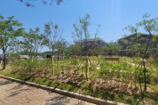 규암초·합송초·내산초 학교숲 조성 추진