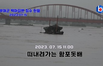 부여군 홍수 경보,  서동연꽃축제 취소